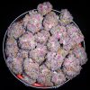 BUY Purple Kush