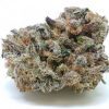 Buy Purple Crack Strain.