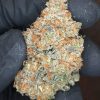 Buy Sleestack Kush Online